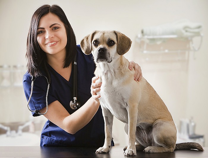 4 Top Jobs for Women with No College Degree
